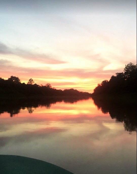 Kinabatangan wildlife